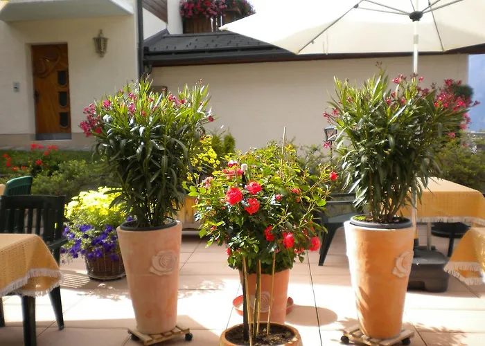 Taverne 3* 그라켄