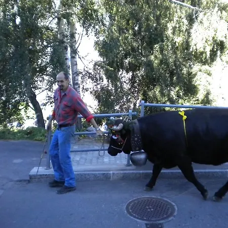 Πανσιόν Taverne 3*